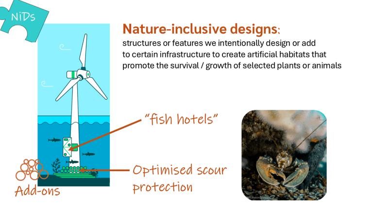 Nature Inclusive Design Guide Nid4ocean – Nature-inclusive designs